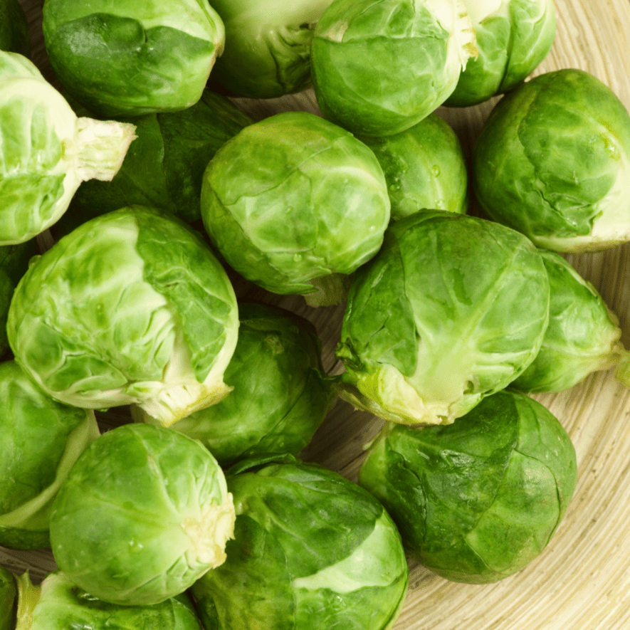 Catskill Brussel Sprout - Team Grow