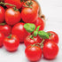 Chadwick Cherry Tomato - Team Grow