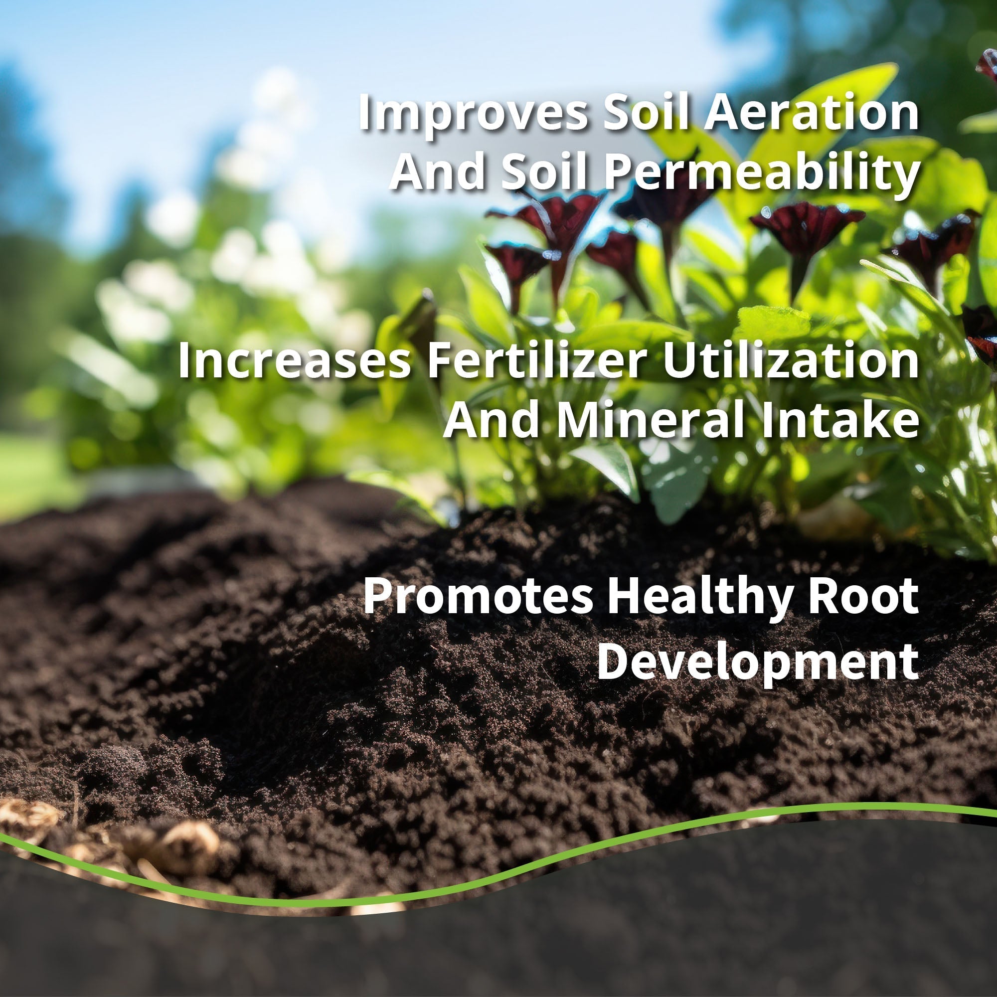 Char Bliss - Premium Biochar Soil Amendment - Team Grow