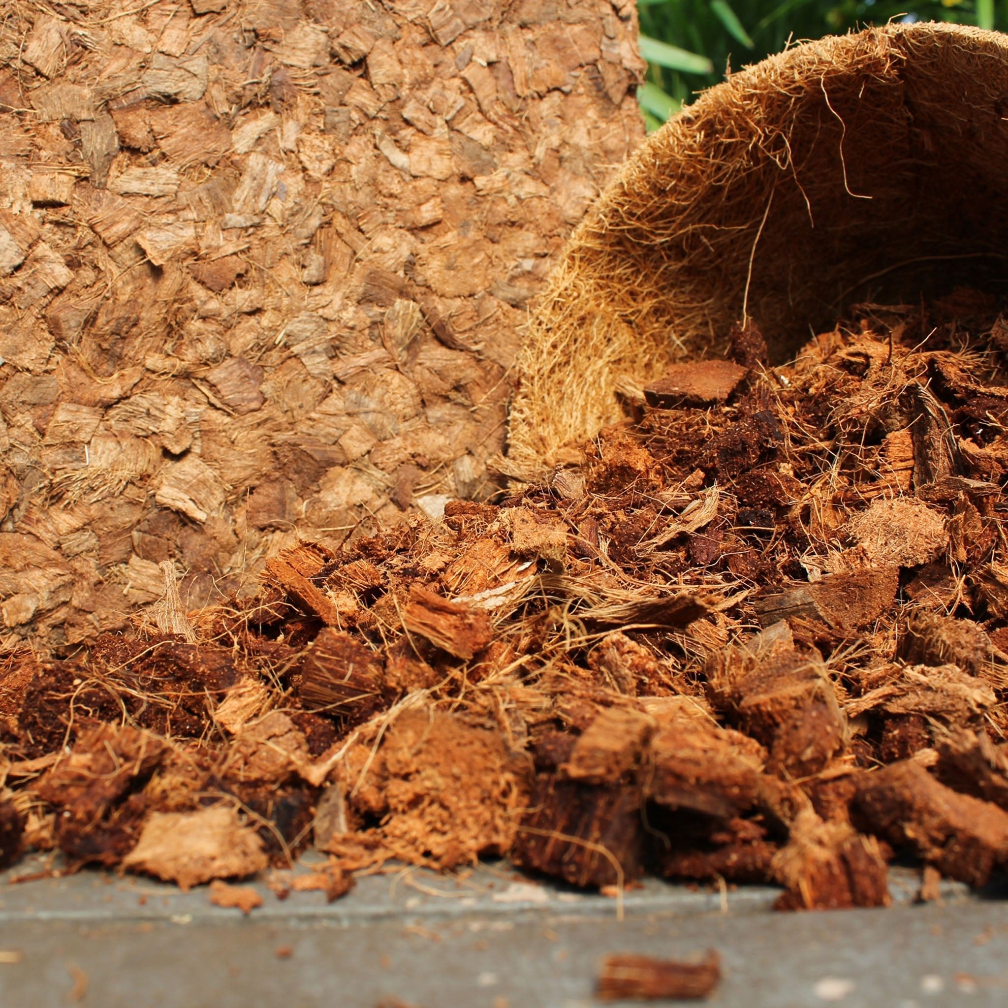 Coco Bliss Chips - 10 lb Coconut Husk Growing Media Bark Alternative - Team Grow