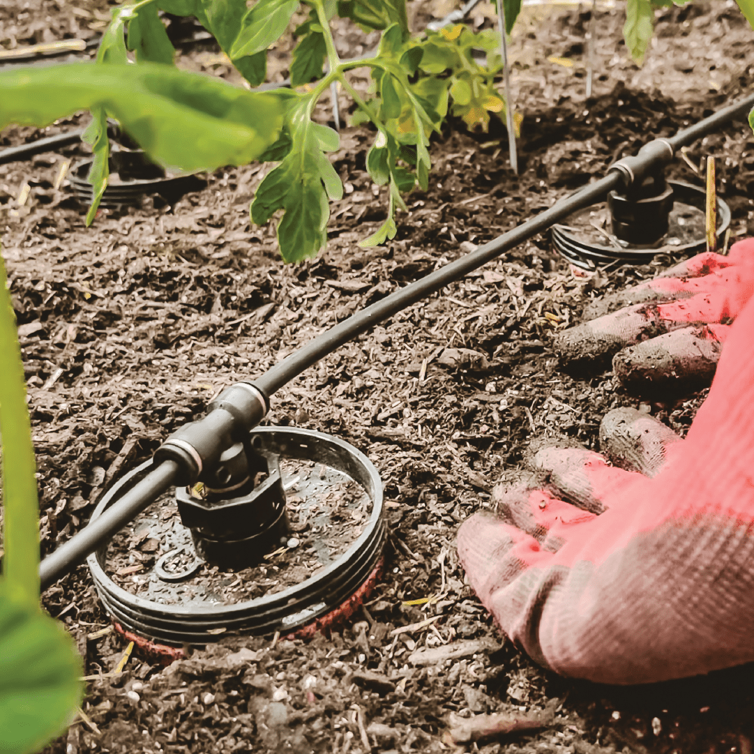 CottaCup Olla Expansion Pack with FREE Winter Storage Olla Box (fits 25 ollas) - Team Grow