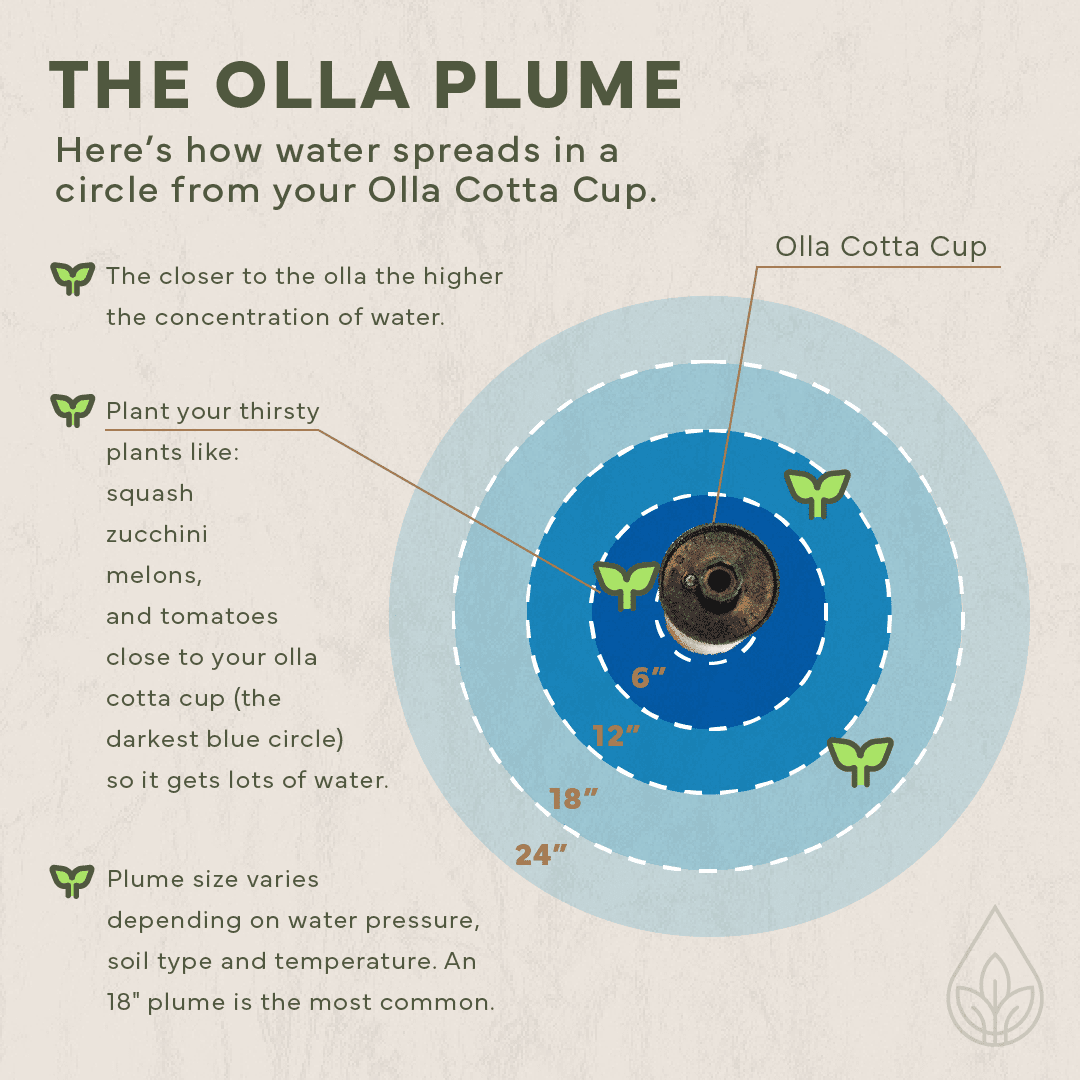 CottaCup Olla Expansion Pack with FREE Winter Storage Olla Box (fits 25 ollas) - Team Grow