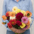 Dahlia Mix - Team Grow