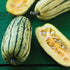 Delicata Squash - Team Grow