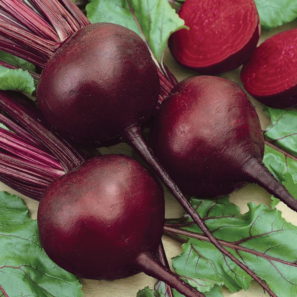 Detroit Dark Red Beet - Team Grow