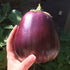 Aswad Eggplant