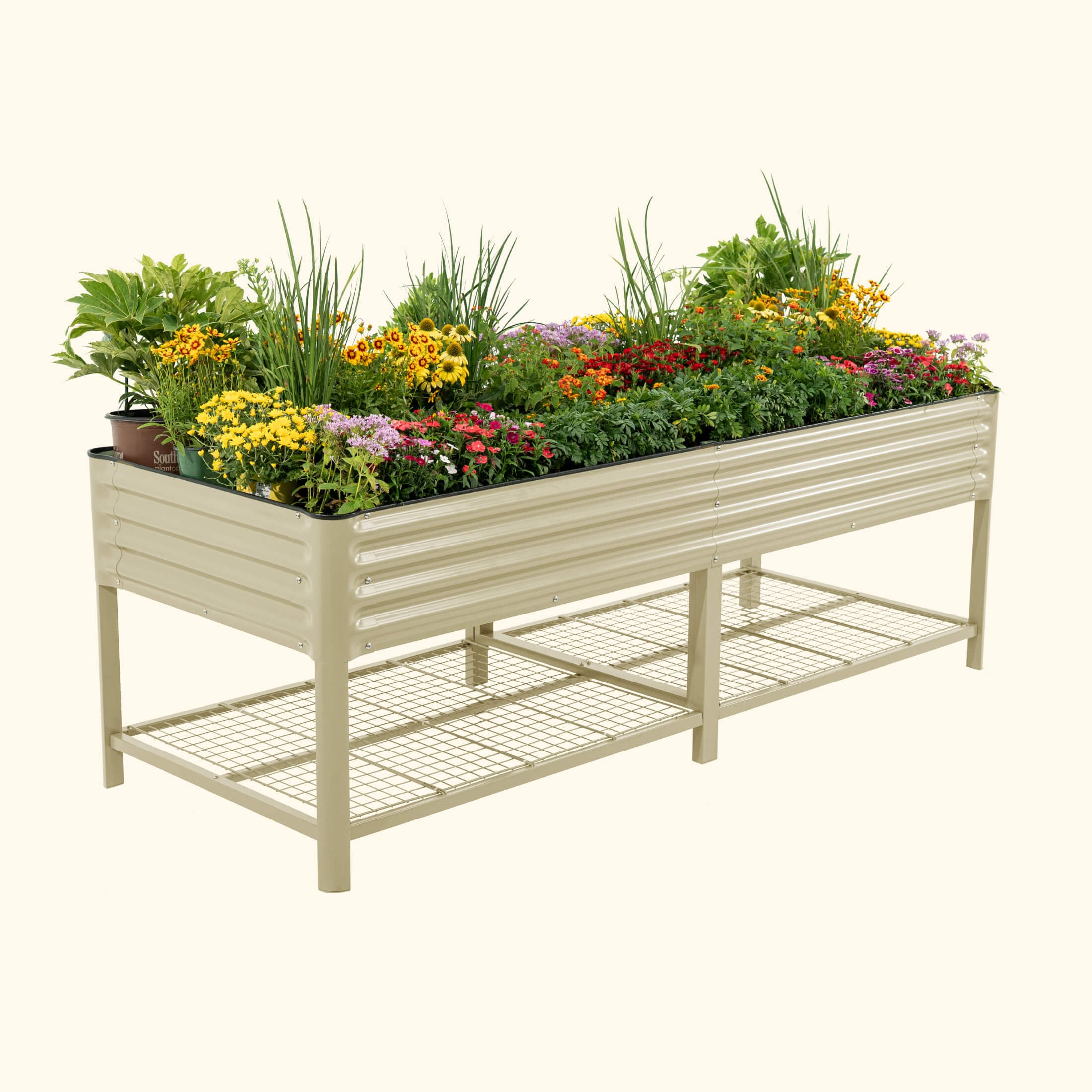 Elevated Garden Bed - Jumbo Series 3' x 8' - Team Grow