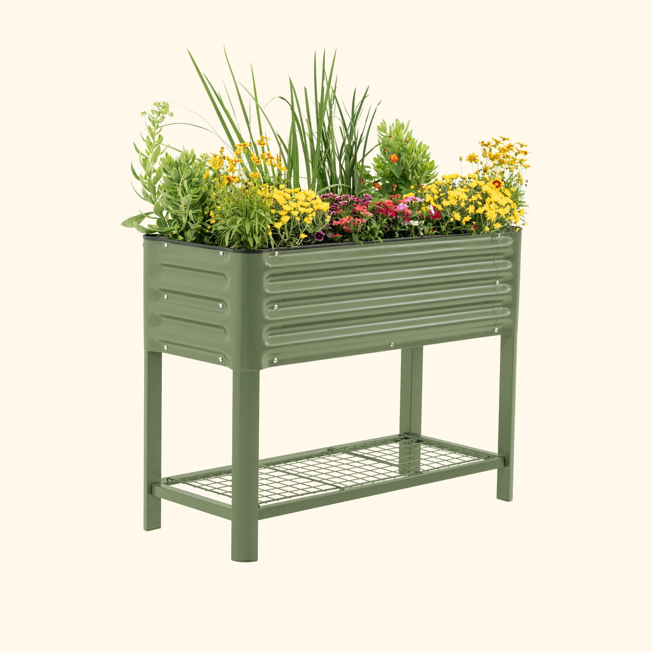 Elevated Garden Bed - Slim Series 1.5' x 3.5' - Team Grow