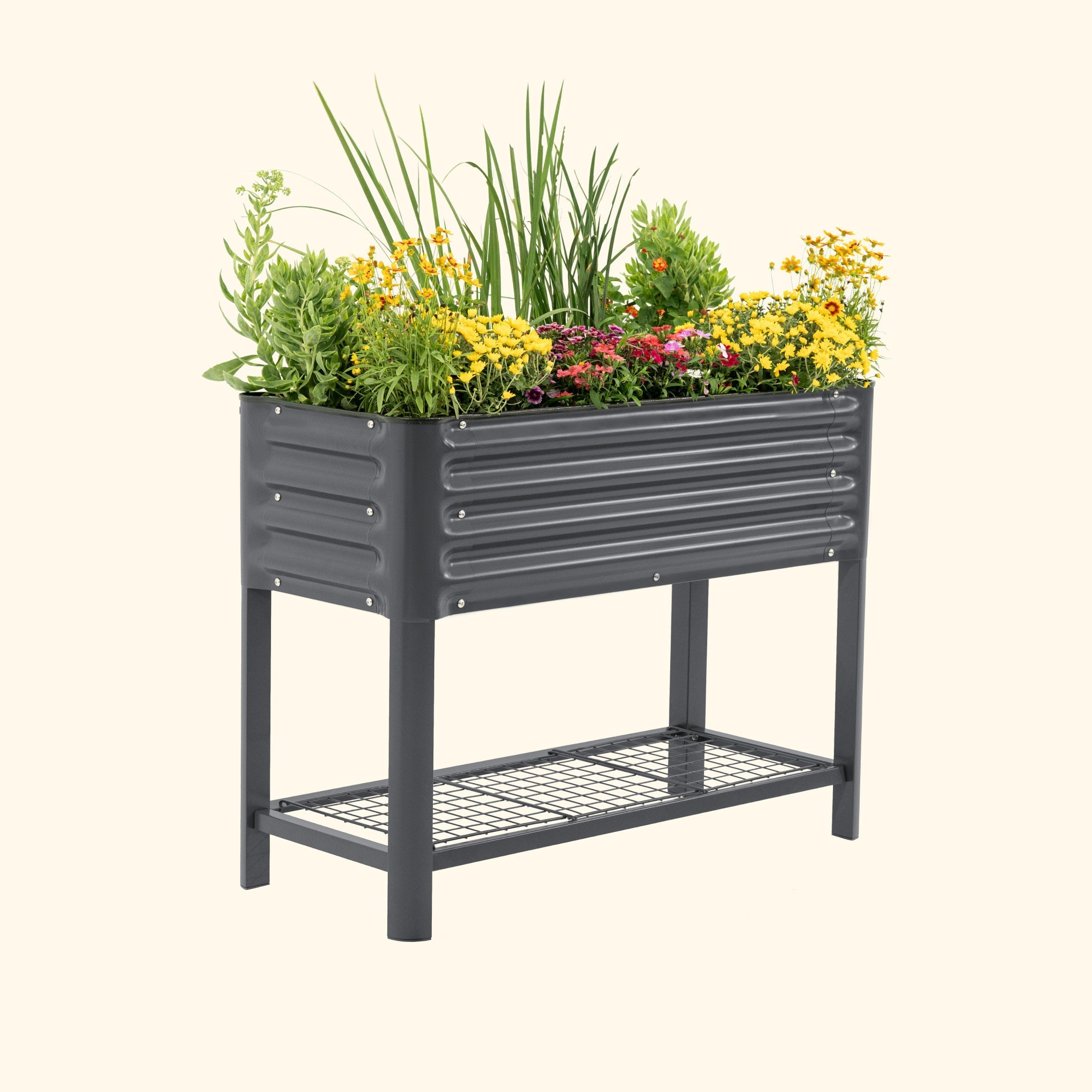 Elevated Garden Bed - Slim Series 1.5' x 3.5' - Team Grow