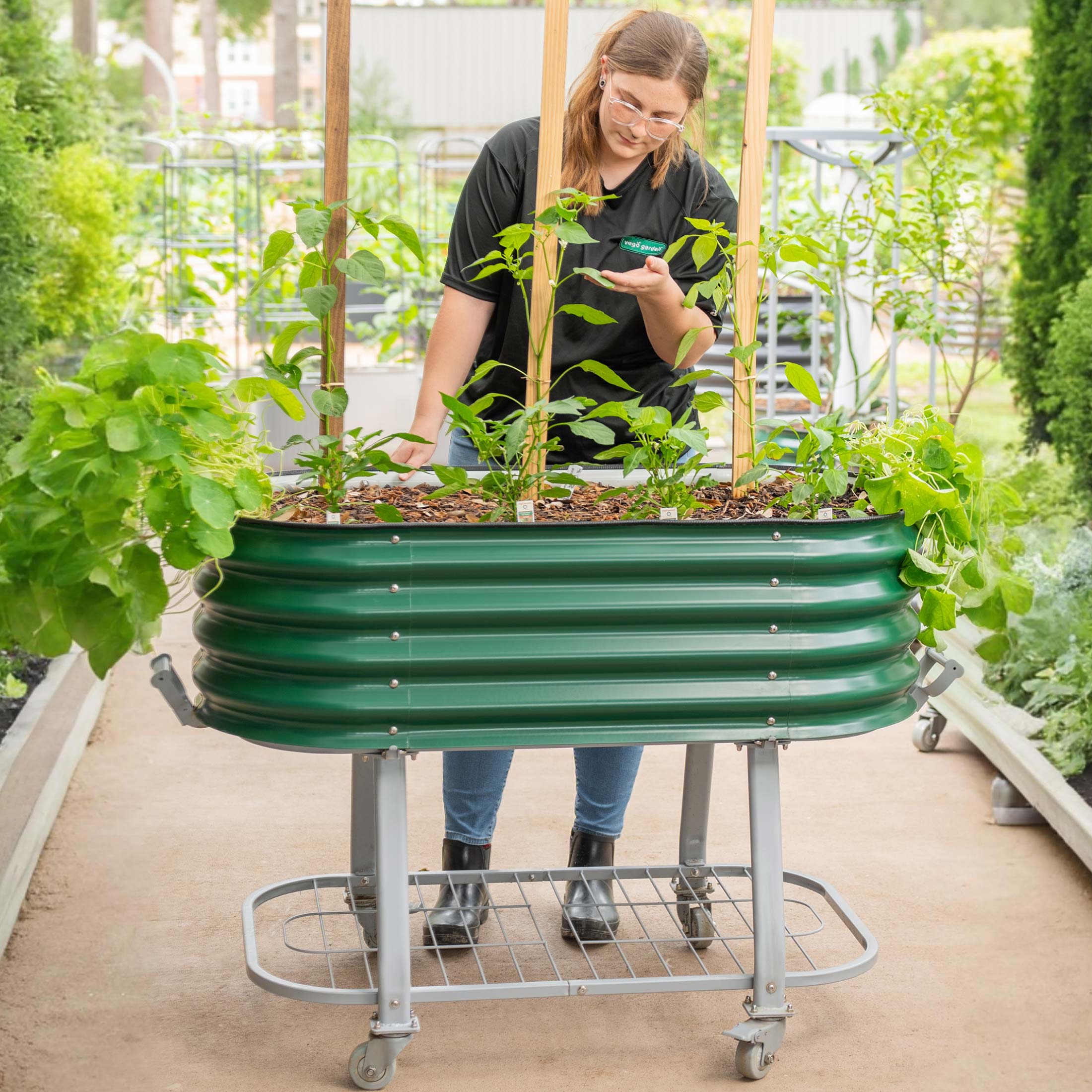 Elevated Rolling Self - Watering Garden Bed - Team Grow