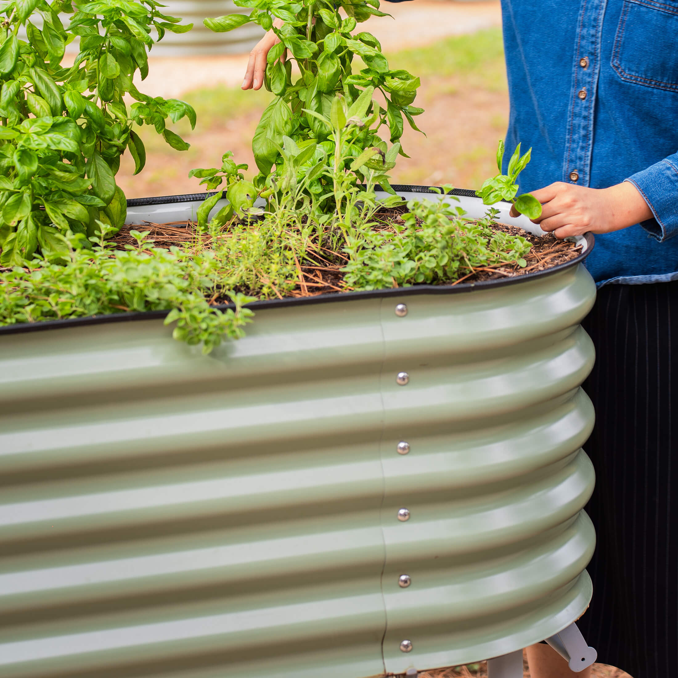 Elevated Rolling Self - Watering Garden Bed - Team Grow