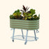 Elevated Rolling Self - Watering Garden Bed - Team Grow