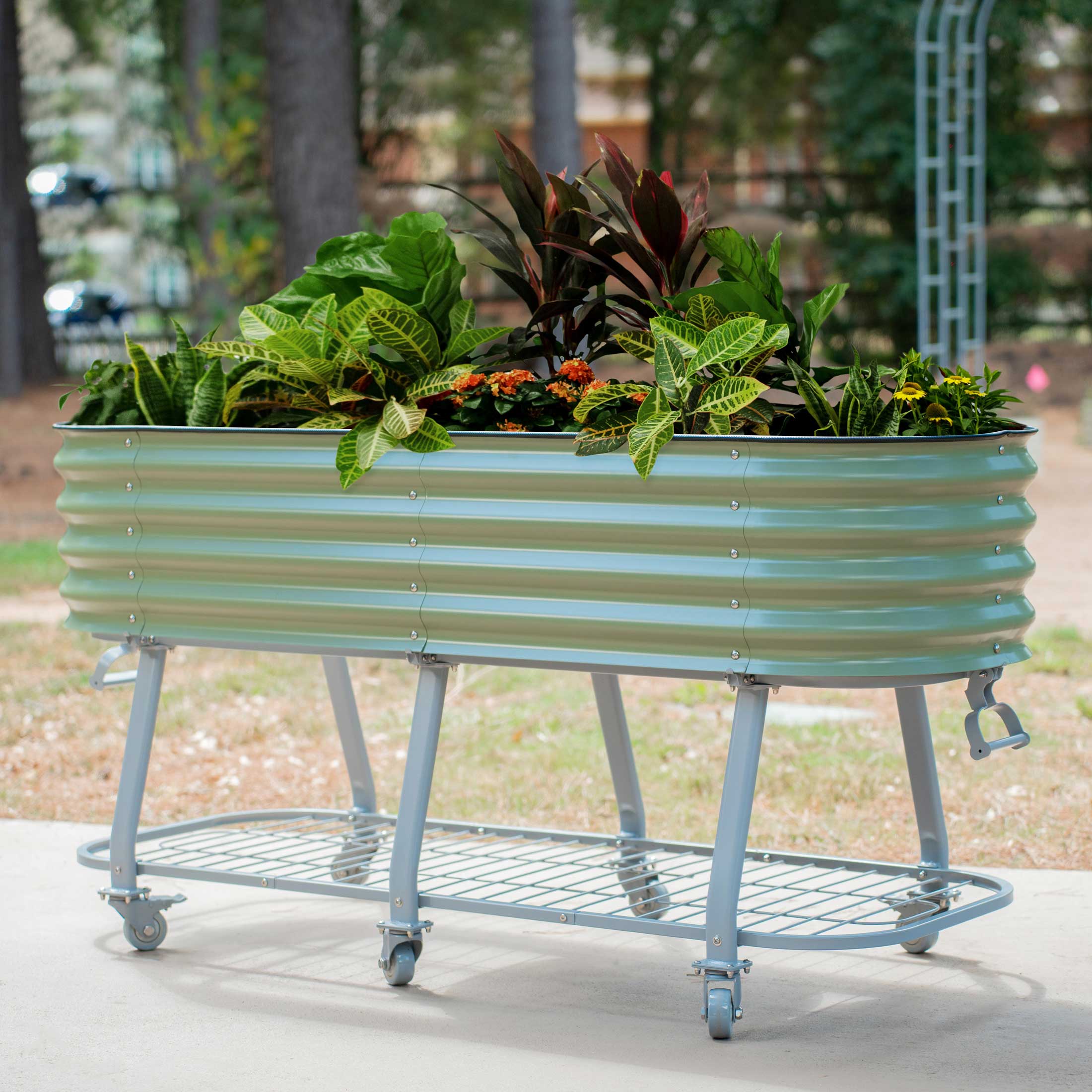 Elevated Rolling Self - Watering Garden Bed - Team Grow