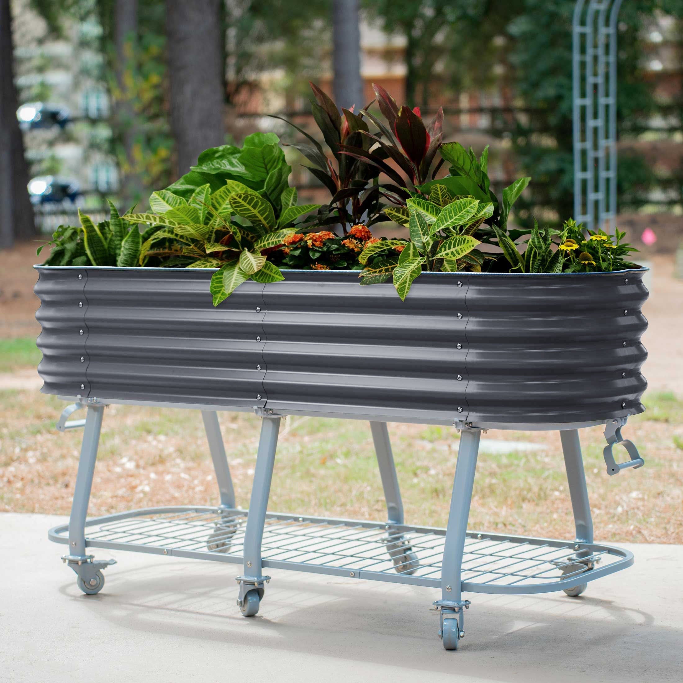 Elevated Rolling Self - Watering Garden Bed - Team Grow