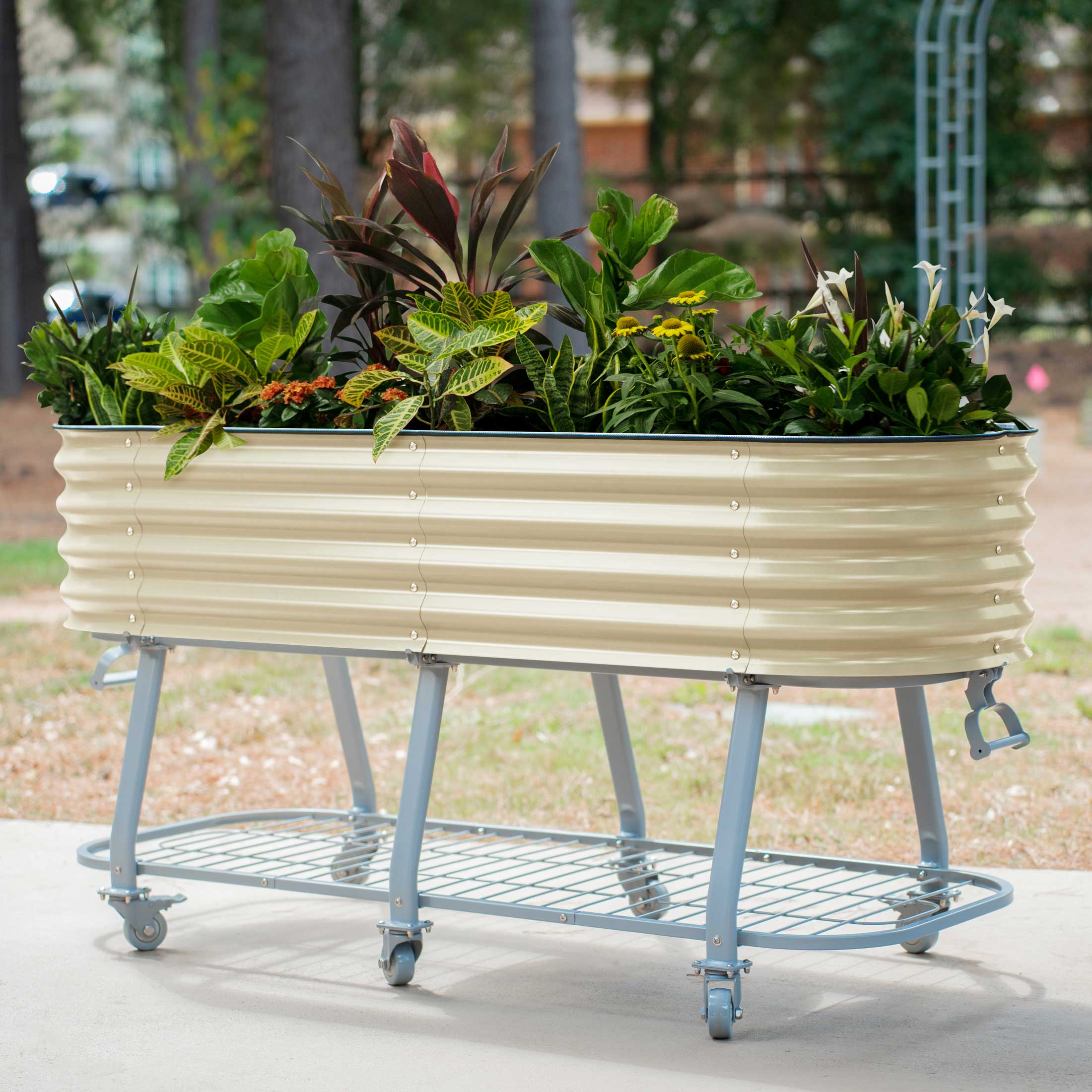 Elevated Rolling Self - Watering Garden Bed - Team Grow