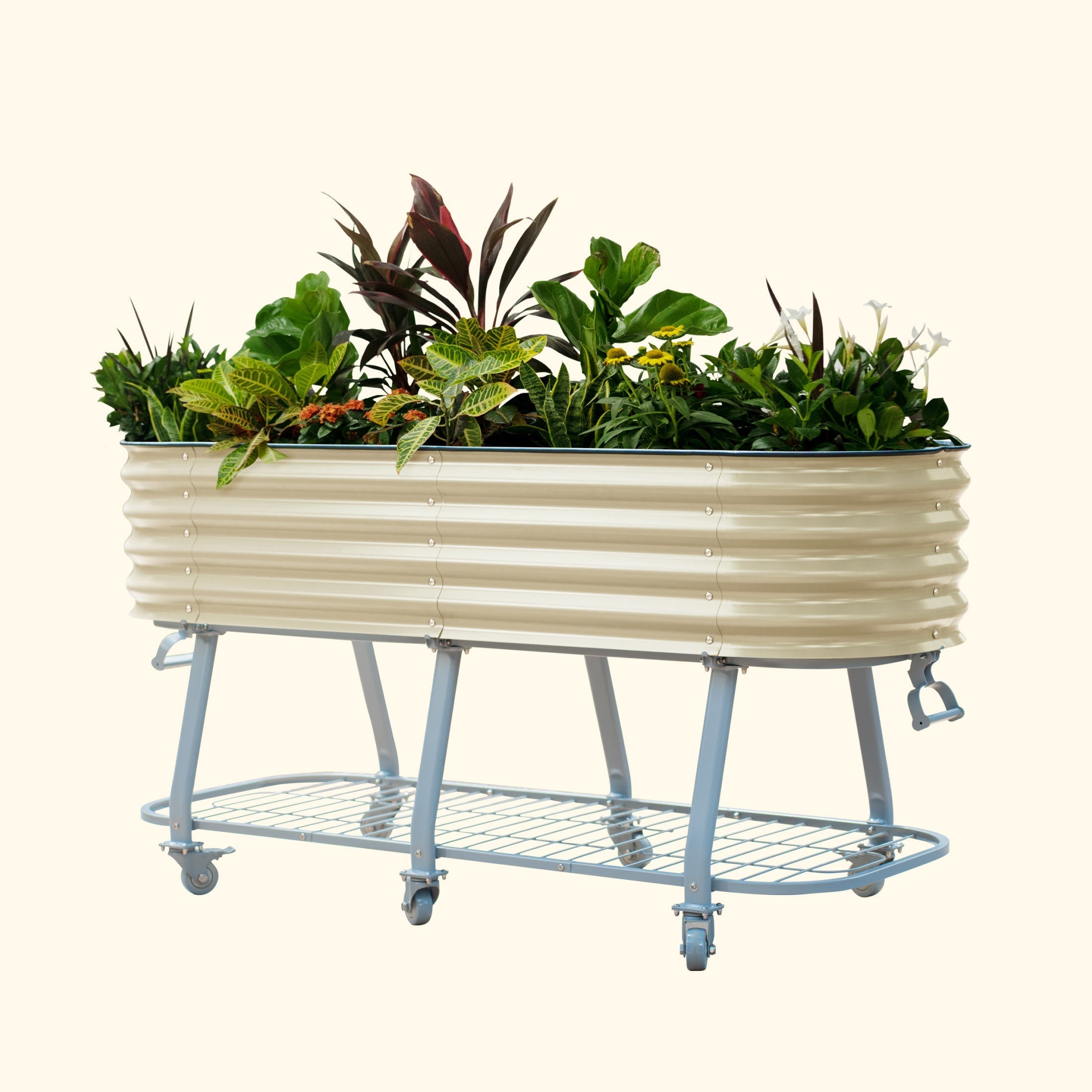 Elevated Rolling Self - Watering Garden Bed - Team Grow