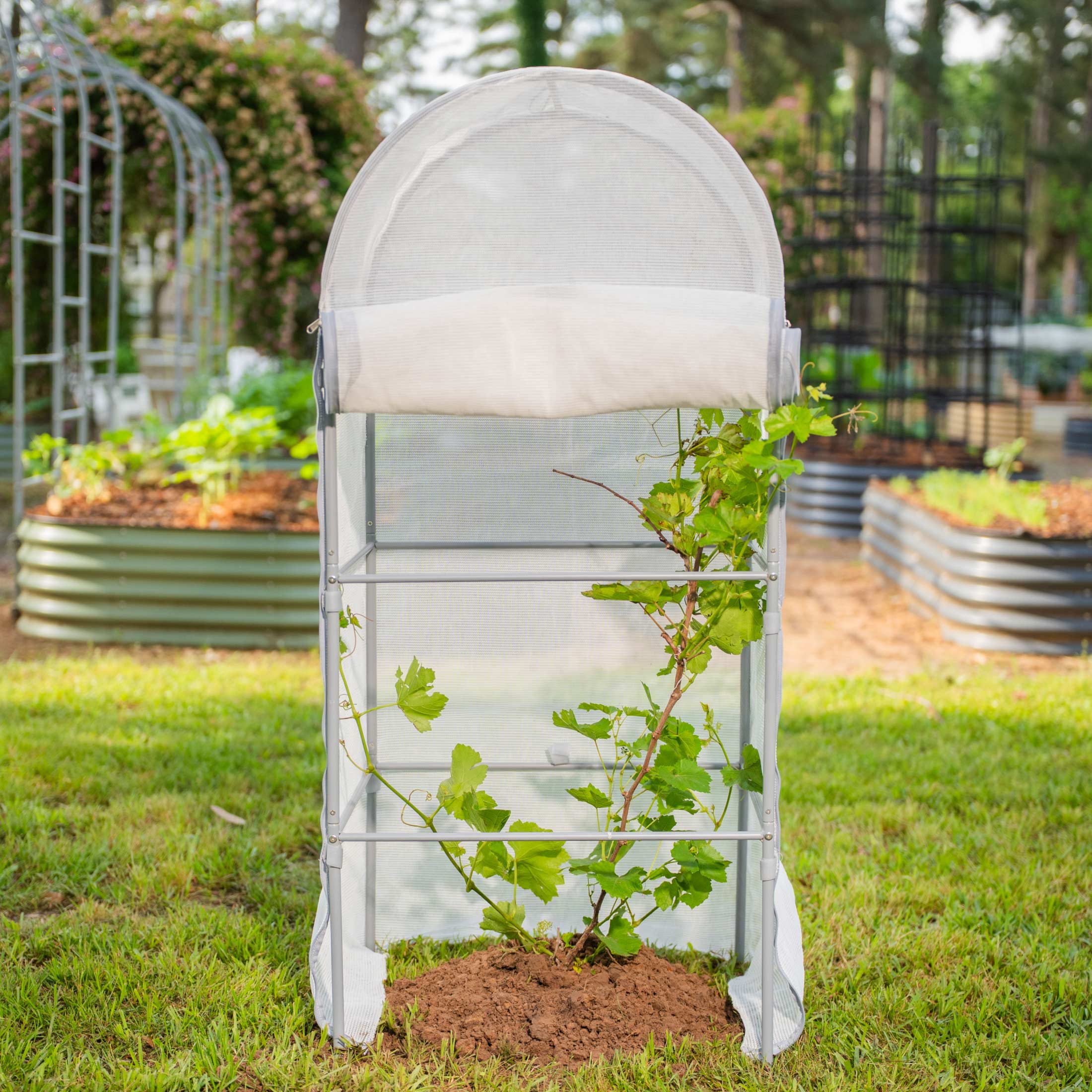 EZCube Cover & Cage - Team Grow