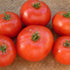 Fireworks Tomato - Team Grow