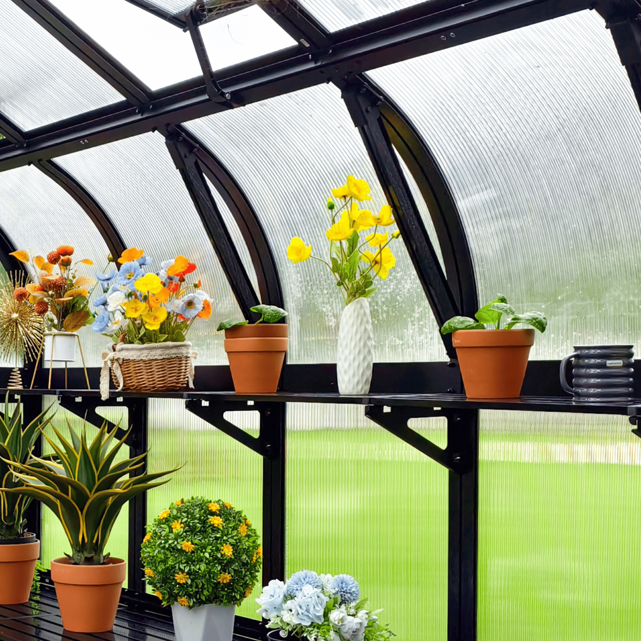 Fixed Top Shelf - Team Grow