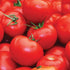 Floradade Tomato - Team Grow