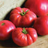German Johnson Tomato - Team Grow