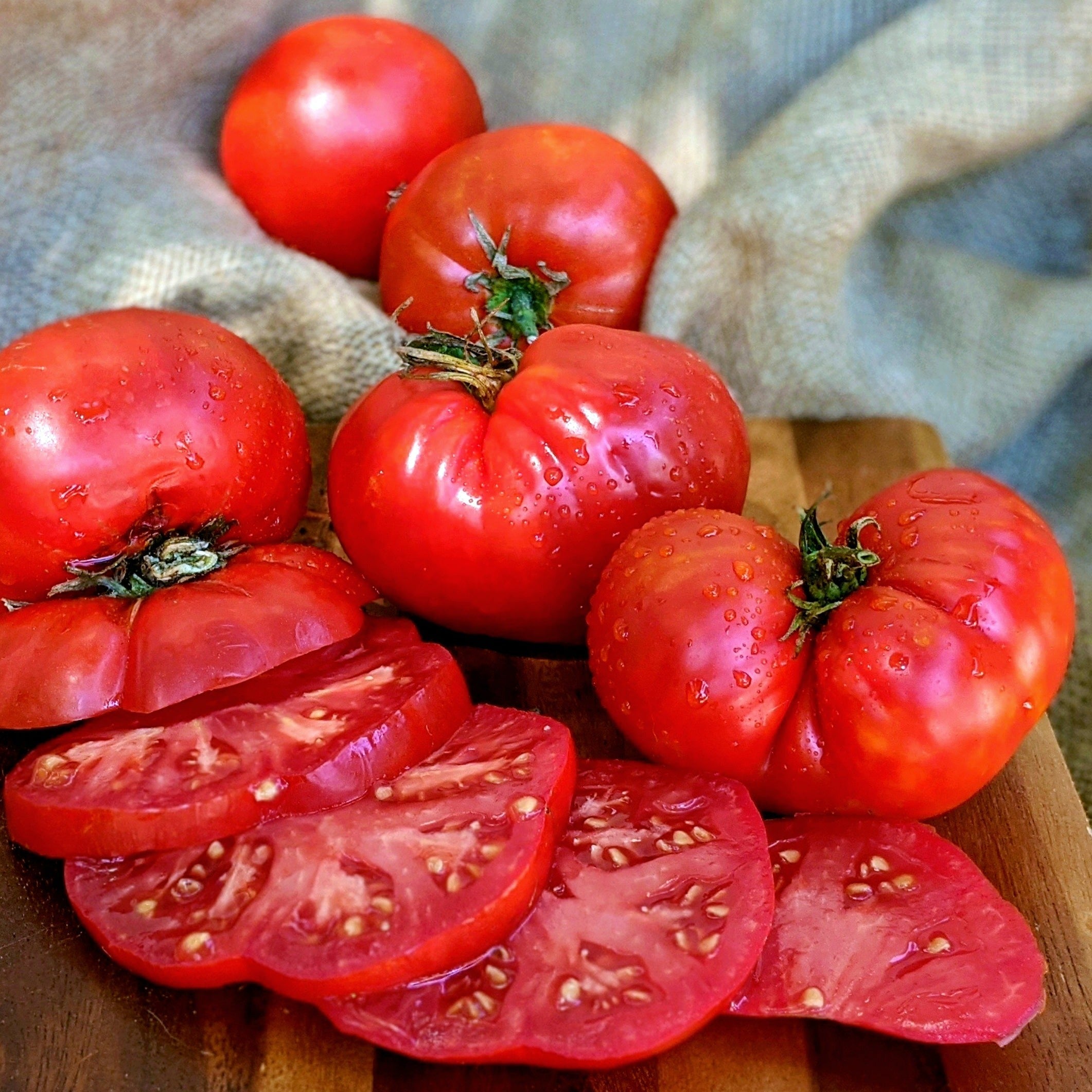Giant Crimson Tomato - Team Grow