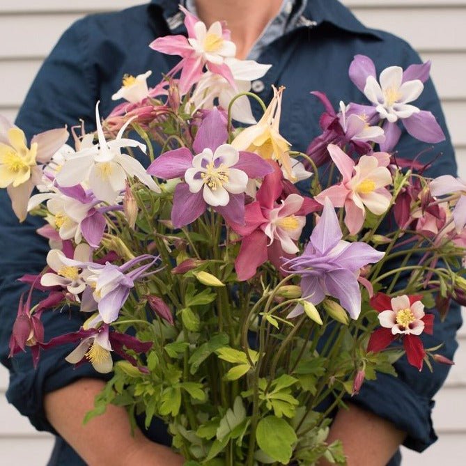 Giant Mckenna Mix Columbine - Team Grow