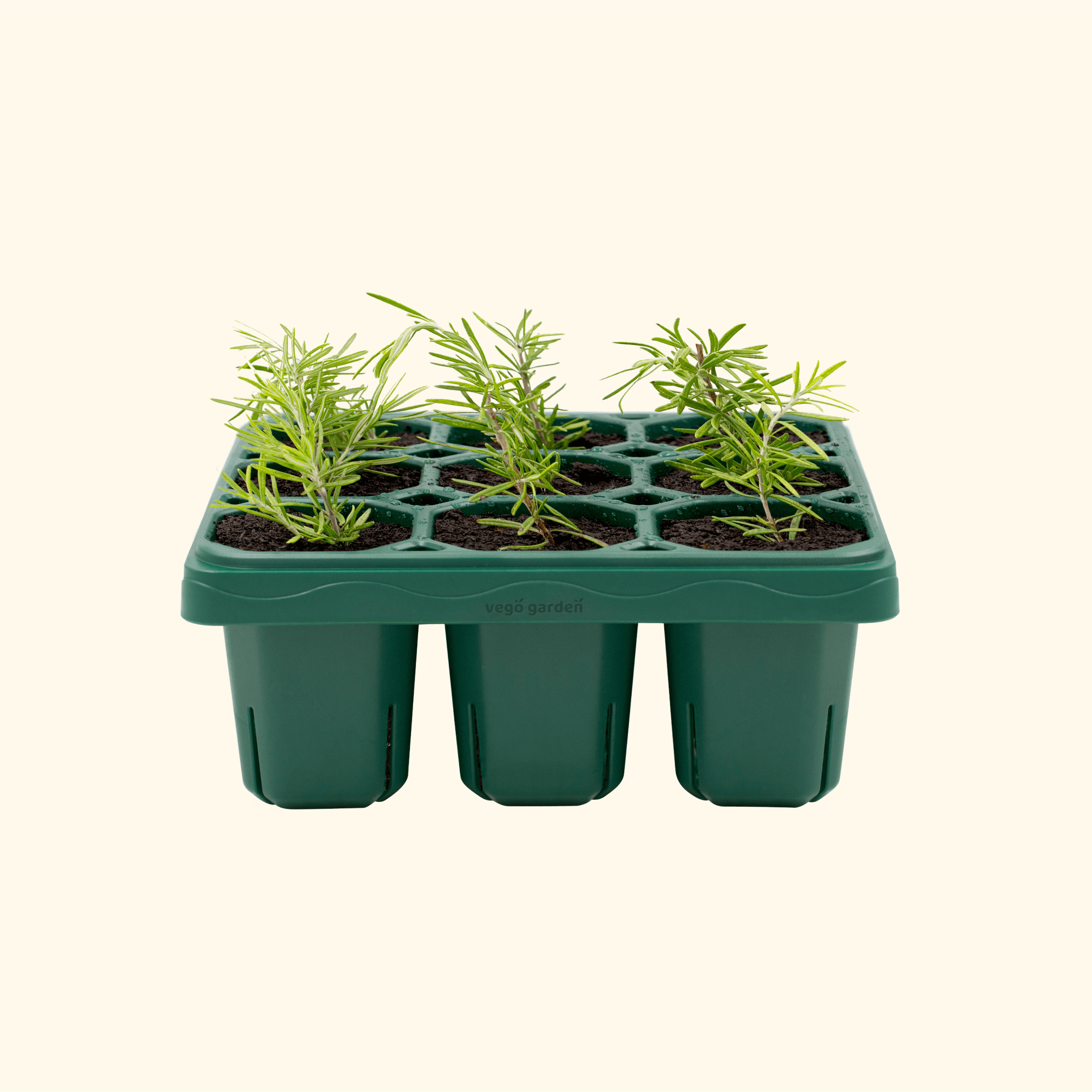 Giga Seedling Tray - 1 Pack - Team Grow