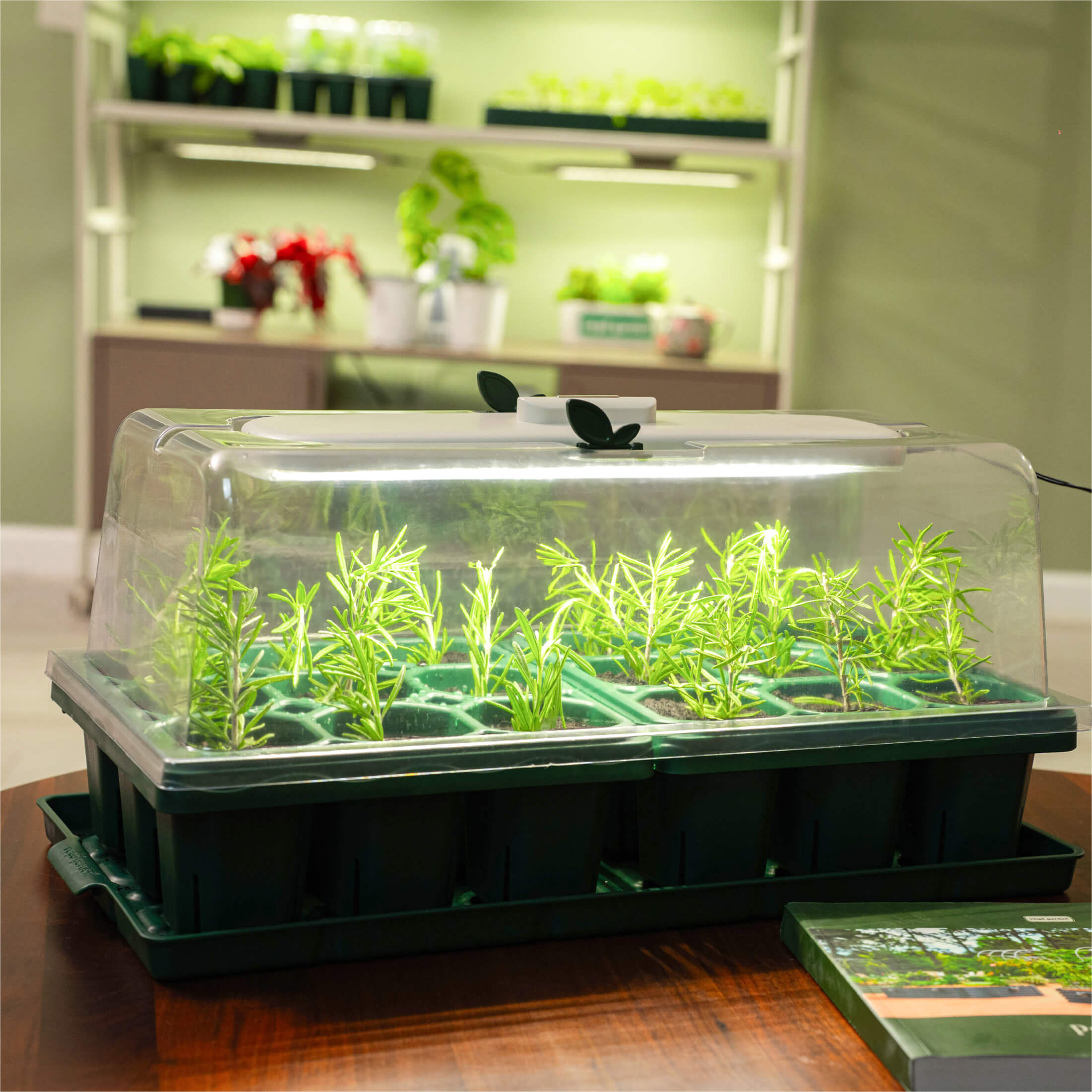 Giga Seedling Trays - Team Grow