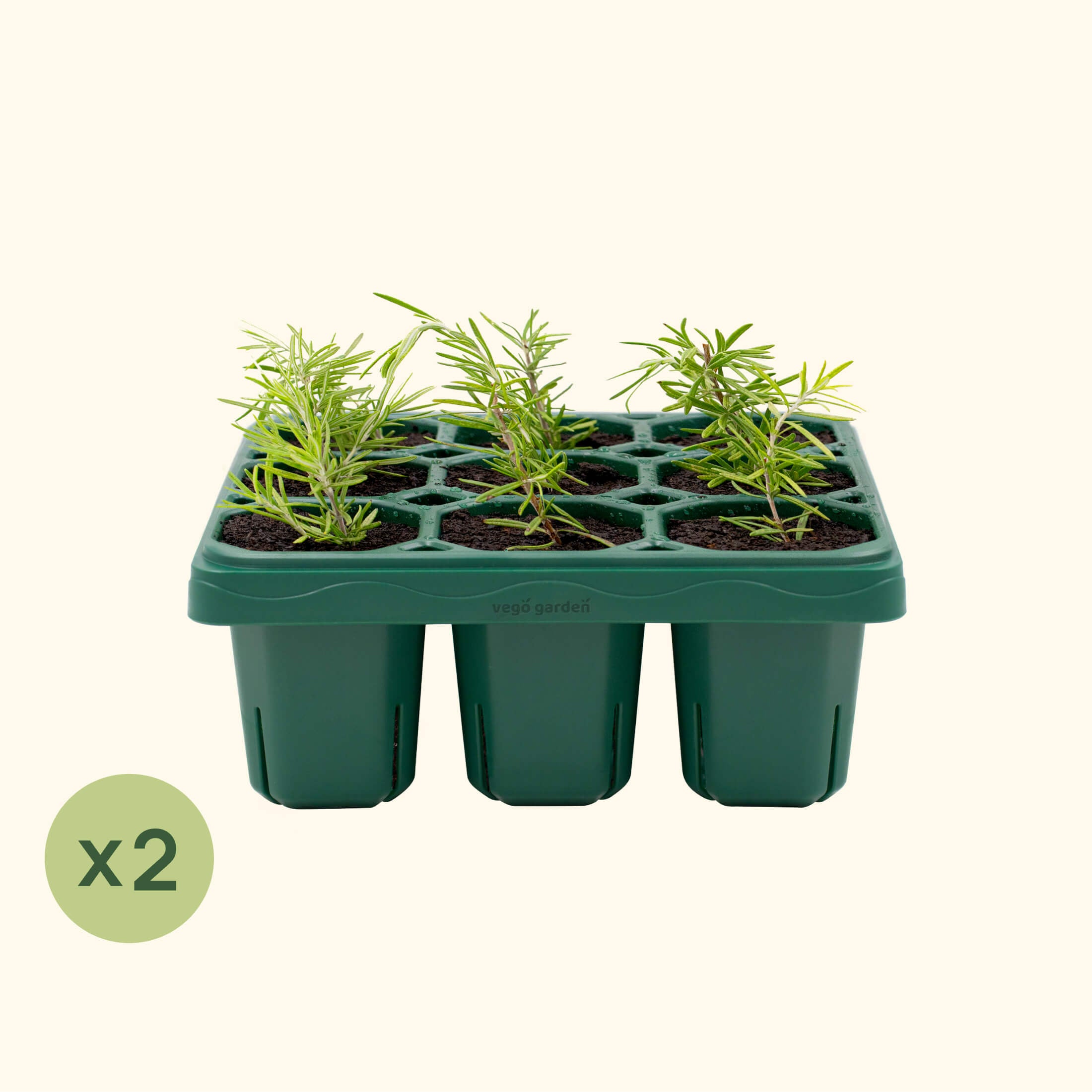 pot trays for plants Giga Seedling Tray