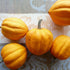 Gill's Golden Pippin Squash - Team Grow