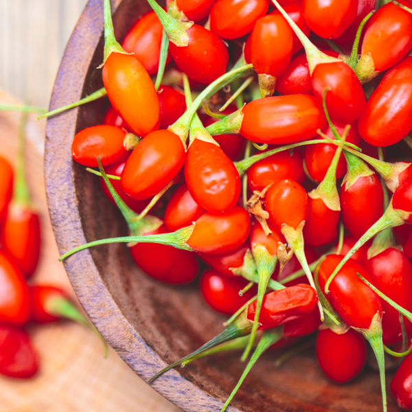 goji berry seeds for planting Goji Berry seeds