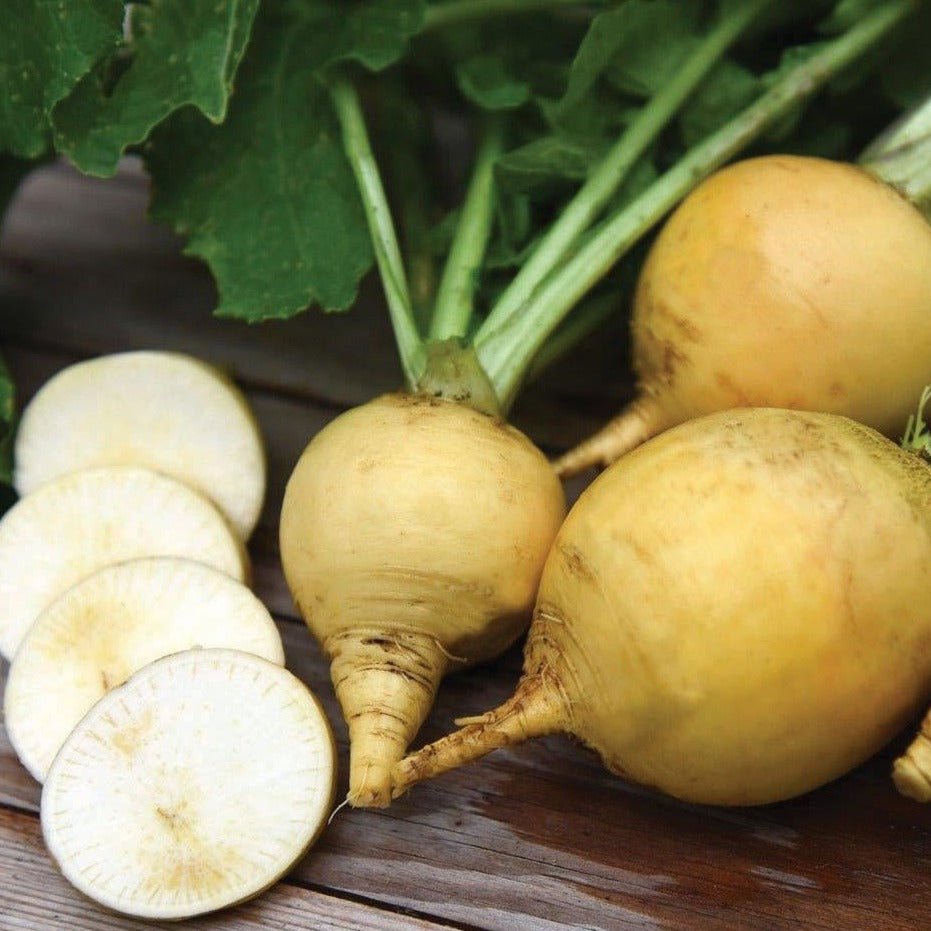 Golden Ball Turnip - Team Grow