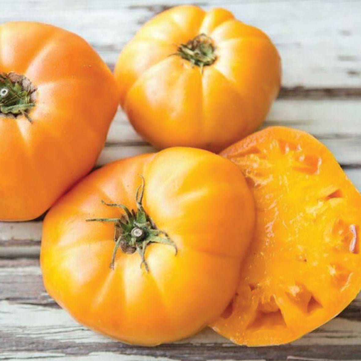 Goldie Tomato - Team Grow