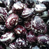 Good Mother Stallard Bean (Pole) - Team Grow