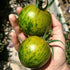 Green Zebra Tomato - Team Grow