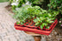 GreenStalk Garden Seed Starter Kit with Domes