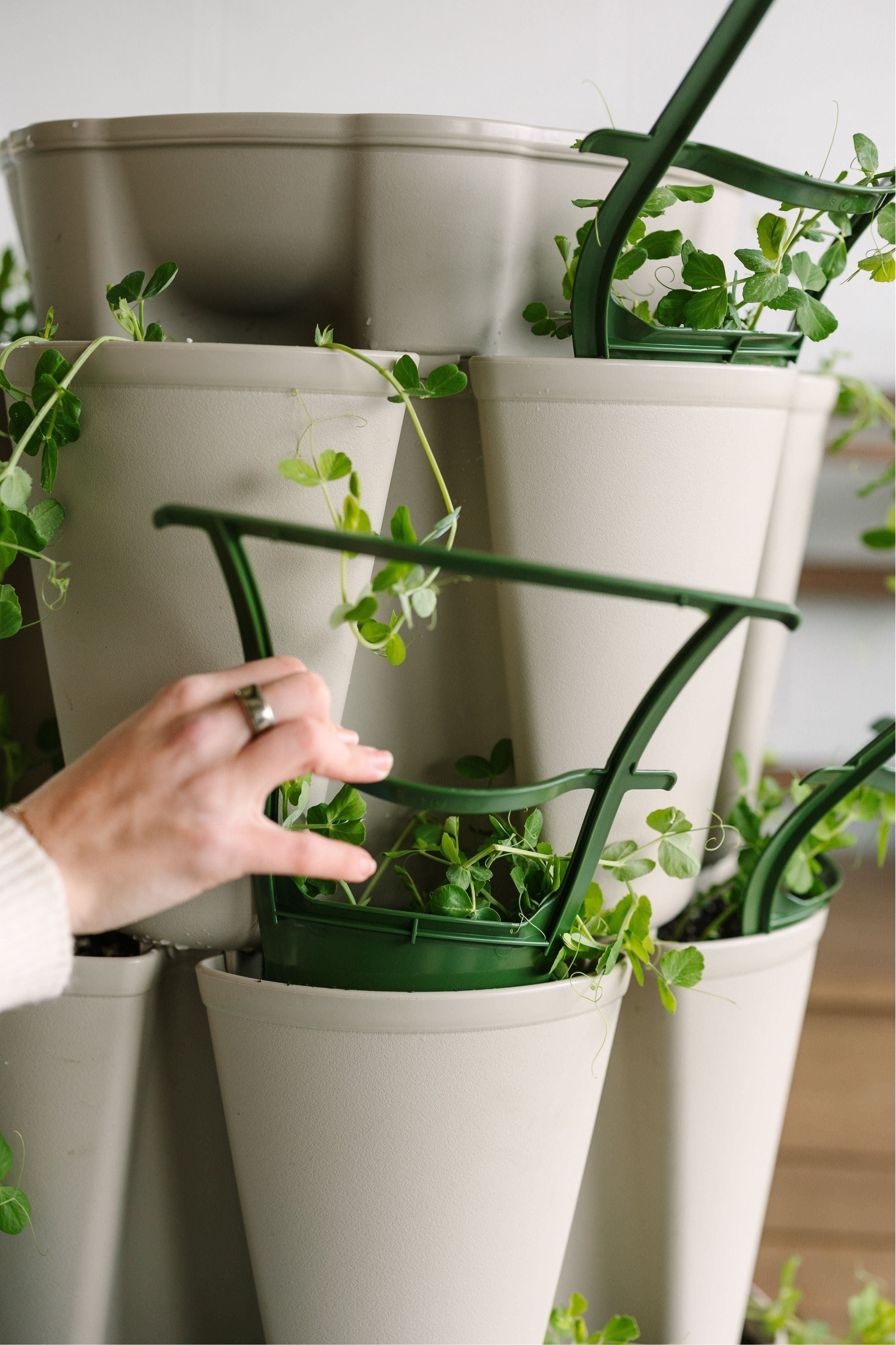 GreenStalk Garden Trellis - Set of 3