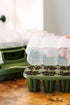 GreenStalk Garden Seed Starter Kit with Domes