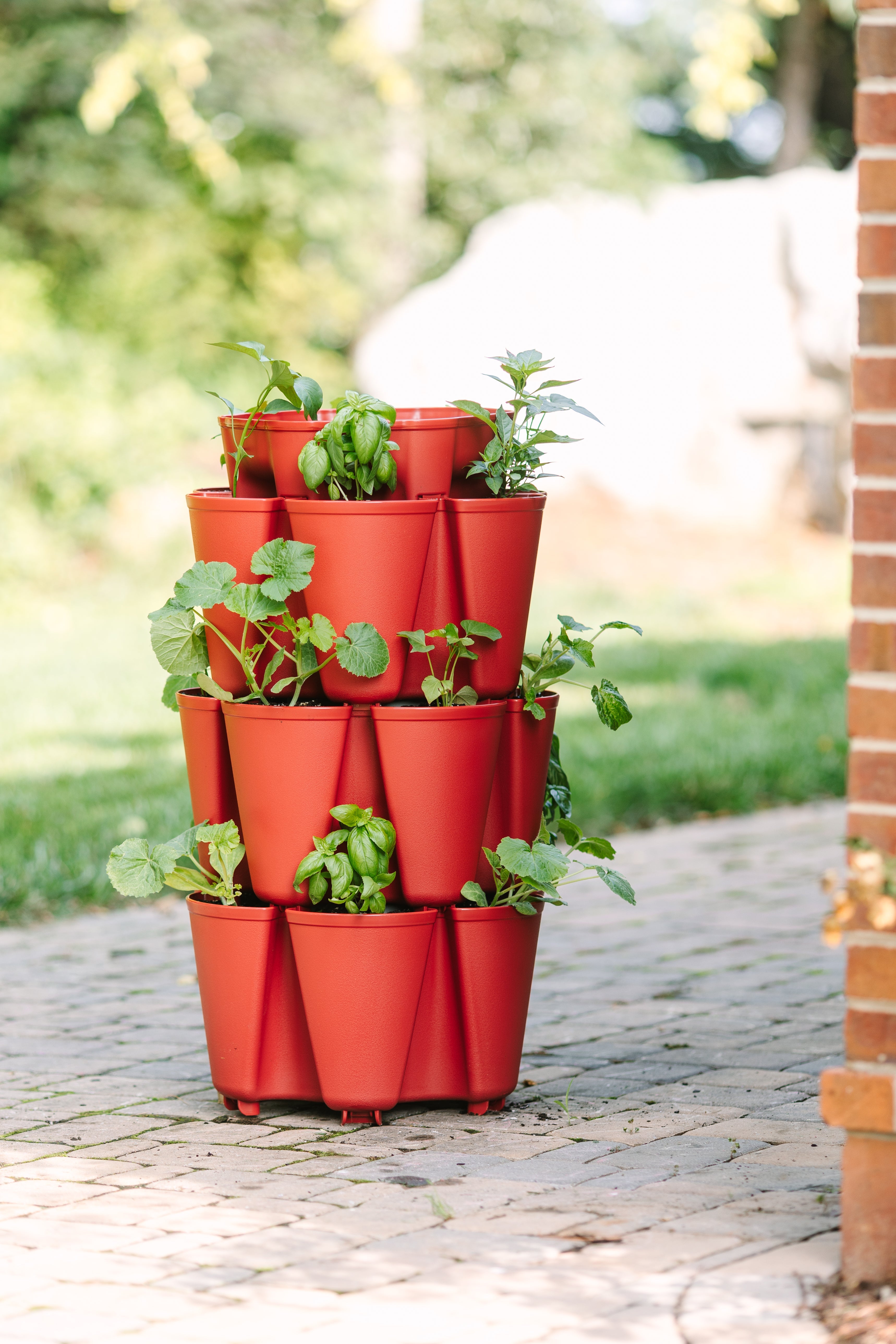 indoor plant pedestal stand VECELO 5-Pack Metal Plant Stands for Indoor Plants