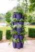 5 Tier GreenStalk Garden Original Vertical Planter - Basic Texture