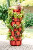 7 Tier GreenStalk Garden Leaf Vertical Planter - Basic Texture
