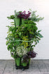 GreenStalk Garden Plant Support
