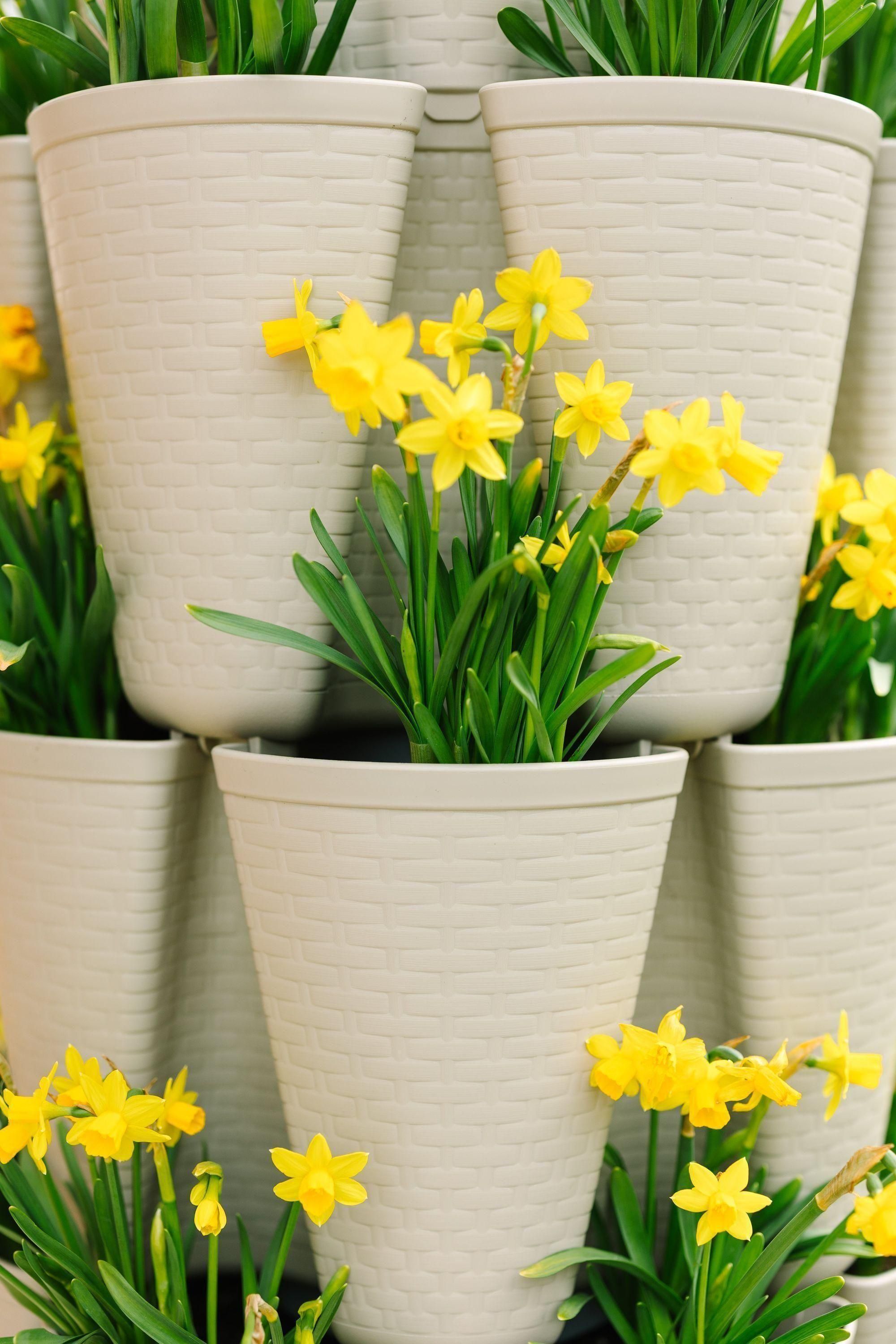 5 Tier GreenStalk Garden Original Vertical Planter - Basket Weave Texture