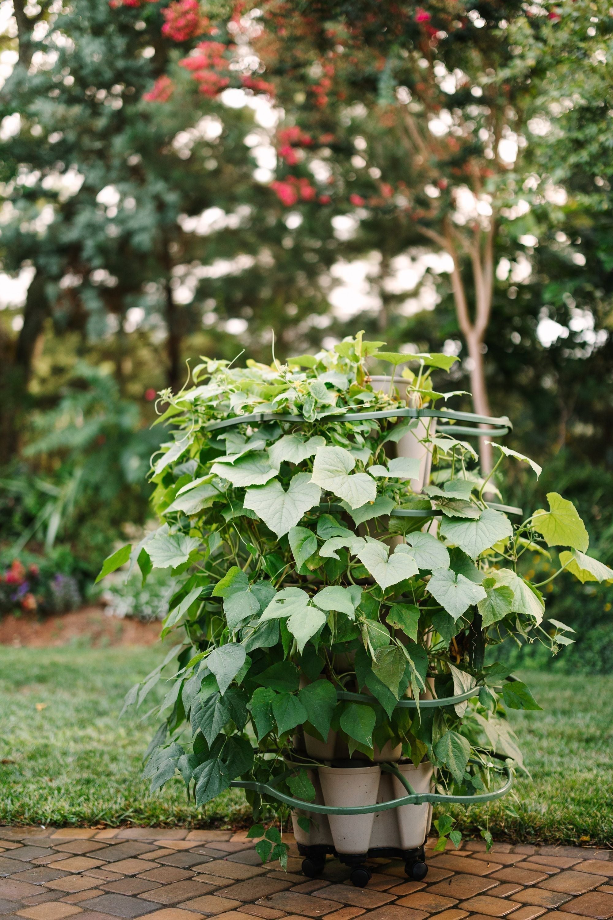 GreenStalk Garden Mover - Team Grow