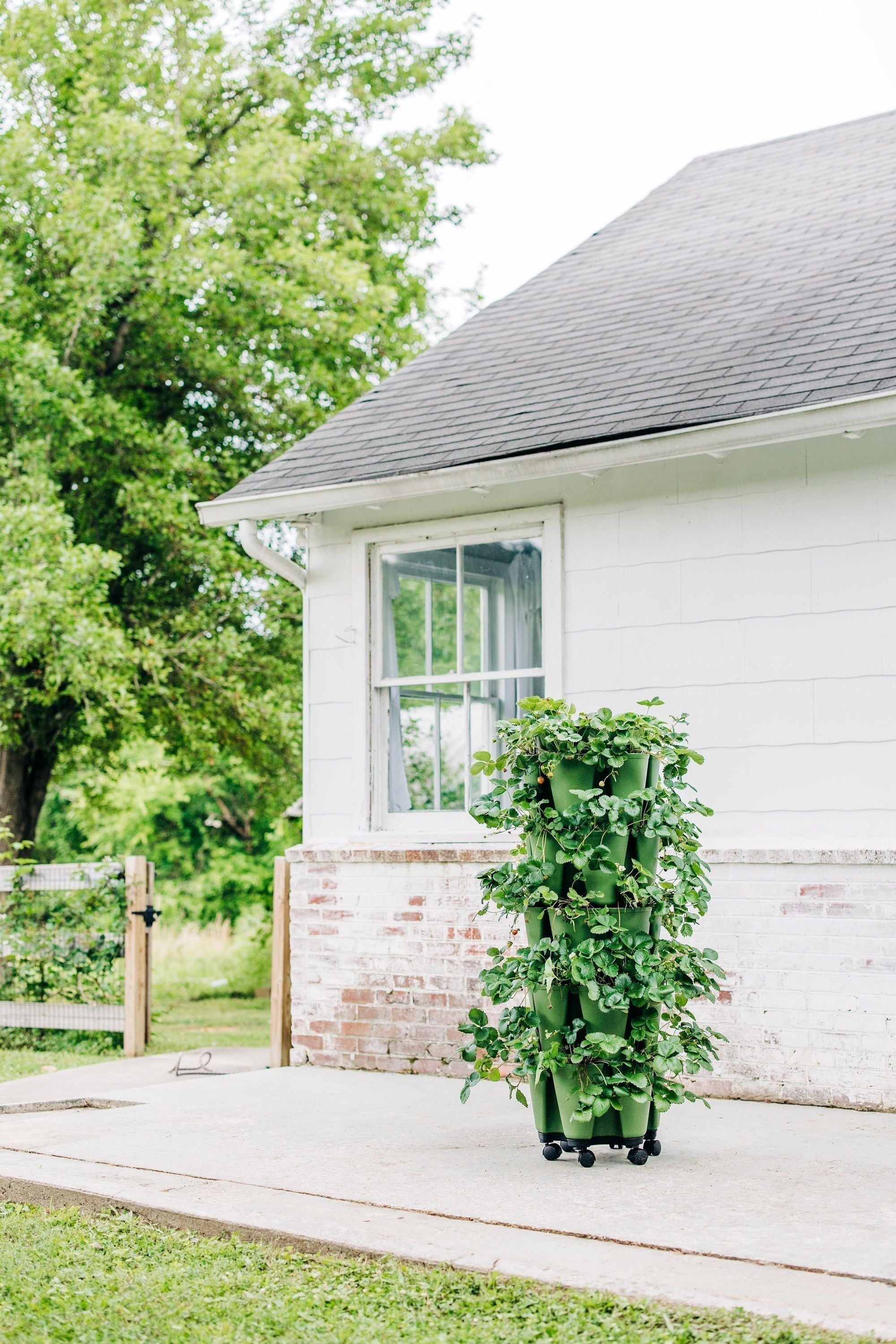 GreenStalk Garden Mover - Team Grow