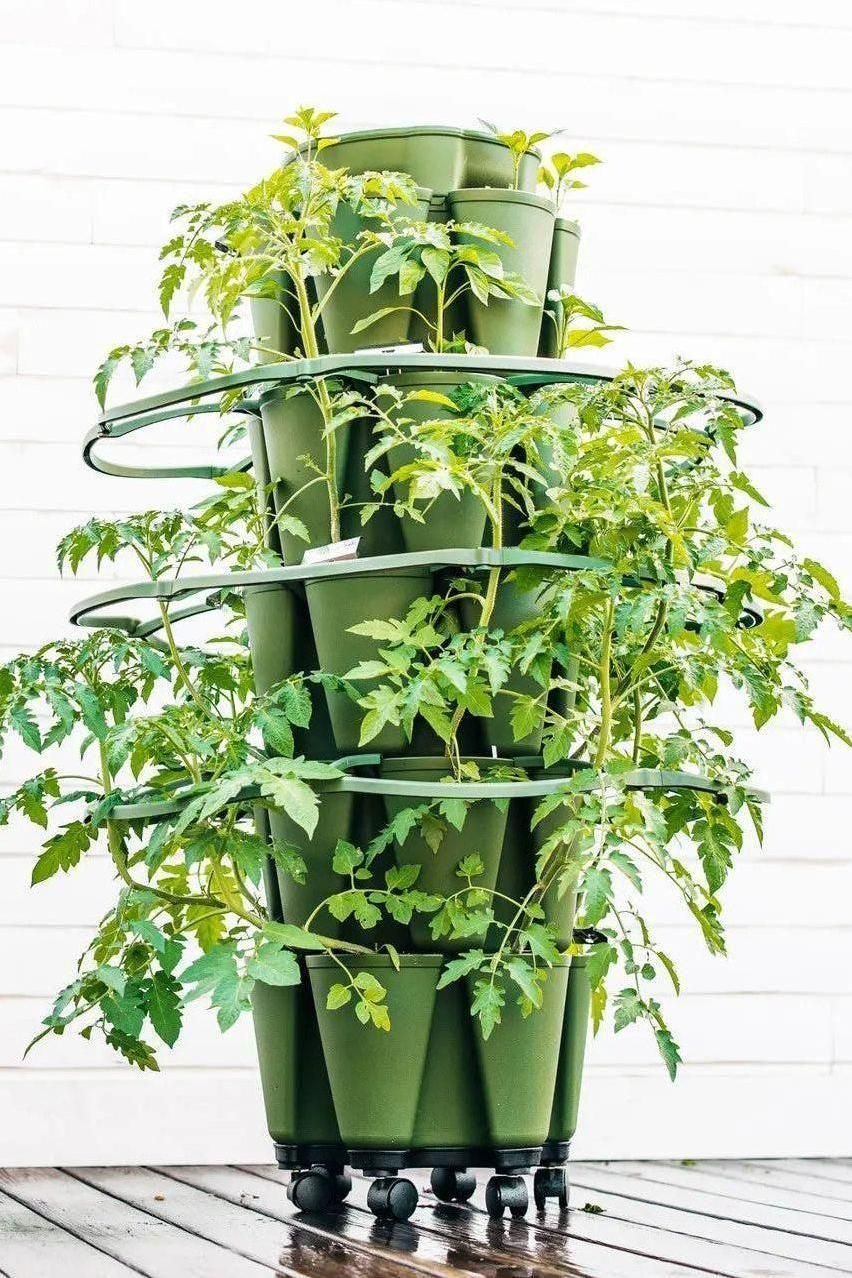 GreenStalk Garden Plant Support (Set of 3) - Team Grow