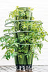 GreenStalk Garden Plant Support (Set of 3) - Team Grow