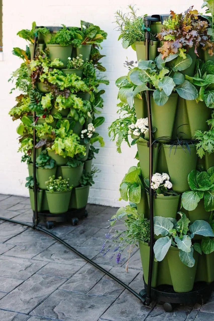 GreenStalk Garden Spring - Watering System - Team Grow