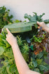GreenStalk Garden Spring - Watering System - Team Grow